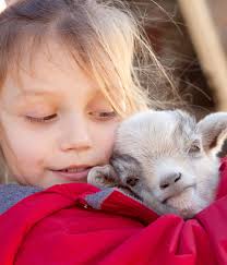 Kindervergnügungspark, Kirmes