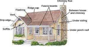 These cases are most commonly the result of young bats (pups) that have left their roost and just starting to fly. Bats In Houses Wildlife Damage Control Services Kdwp Kdwpt