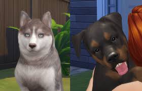 My bad englishokay friends, thanks to you…„ to take a view to my questi. Mod The Sims Real Eyes Cats Dogs