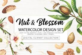 These cookies definitely fulfill my love for easy design cookies alone. Nut Blossom Watercolor Design Set By Gina Heyer Illustration Studio Thehungryjpeg Com