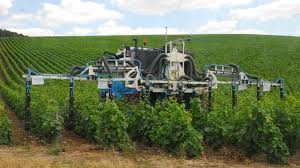 L'onssa aspire à interdire la vente de la menthe dans les marchés de gros tout en protégeant les vendeurs et développement durable: La Vente De Produits Phytosanitaires En Forte Hausse En 2018 En France