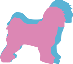 Tibetan terrier puppies available from registered breeders willowvale kennels. Tibetan Terrier Dog Breed Facts And Information Wag Dog Walking