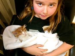 Heaven Can Wait Spay and Neuter Clinic