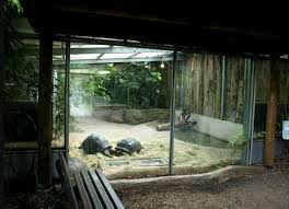 Giant Tortoise Greenhouse Enclosure Tortoise Habitat Tortoise Care Tortoise House