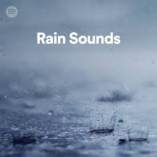 Save water, time and money with a rain garden. Rain Sounds Spotify Playlist