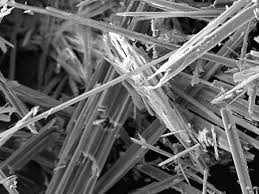 Blood Test To Detect Mesothelioma Eth Zurich