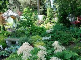 Sunflowers are one of the easiest plants to grow from seed. Shade Gardening Beyond Hostas