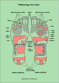 Reflexology Foot Map Diagrams Charts Including Step By