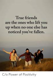 True Friends Are The Ones Who Lift You Up When No One Else Has Noticed You Ve Fallen Co Power Of Positivity Friends Meme On Sizzle