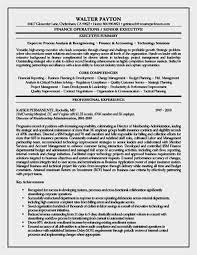 Executive Summary Resume Executive Resume Example As Writing Guidelines Following The Best Examp Executive Resume Template Executive Resume Resume Examples