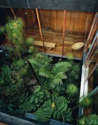 The Shiny Squirrel Interior Garden Tropical Patio Patio Interior