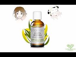 面部精华油florihana jojoba oil happiness oasis jojoba oil jojoba oasis