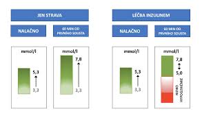 Image result for cukrovka hodnoty tabulka