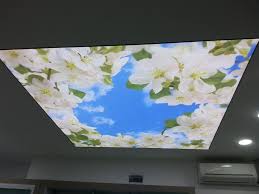 Stretch Ceilings Ltd Stretchceiling Detail Pvc Stretch Ceiling Manufacturers Tension Ceiling Textile Ceiling French C Ceiling Barrisol Ceiling Prints