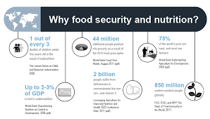 Securenutrition A Knowledge Platform Linking Agriculture Food Security And Nutrition Nutrition Infographic Food Security Nutrition