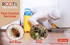 professional bed bugs control service in canada