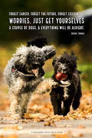 Dog Quote Forget Career Forget The Future Dog Dog Quotes Inspirational Quotes Funny Quotes Life Q Dog Quotes Dog Quotes Inspirational Dog Quotes Funny