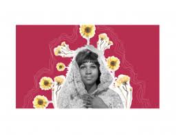 Image result for Emilia libeniana