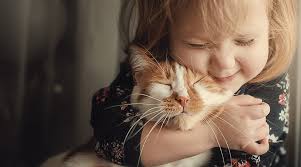 We did not find results for: Veterinarians In Calgary Ab Calgary North Animal Hospital 24 Hour Emergency Service