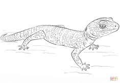 Animal coloring pages coloring book pages printable coloring pages coloring sheets doodle coloring mandala coloring chris garver colorful pictures how to draw hands. 11 Preschool Pet Themes Ideas Pets Preschool Leopard Gecko Coloring Pages