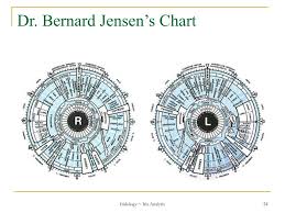 Ppt Iridology Iris Analysis Your Eyes Can Tell If Youre