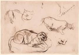 The contrast between the rendered siamese cat and the white cat formed (formed from a few light lines) draws you in to this quiet embrace. Eugene Delacroix Studies Of A Cat Drawings Online The Morgan Library Museum
