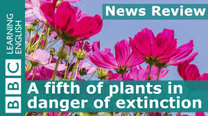 Extinction Plants The Conscious Challenge
