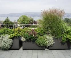 Grosse Pflanzkubel Effektvoll Im Garten In Szene Setzen Garten Terrasse Pflanzen Und Terrasse Pflanzen