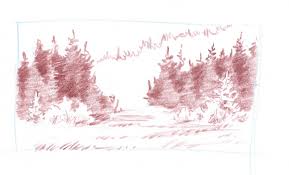 Maybe you would like to learn more about one of these? How To Draw Coniferous Forests John Muir Laws