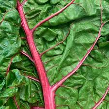 Rhubarb is the edible stalk portion of the rhubarb plant. Red Swiss Chard Information And Facts