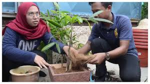Kolej komuniti dia ni lot kedai je, asrama dia pun sama jast block kedai. Kolej Komuniti Masjid Tanah Unit Landskap Youtube