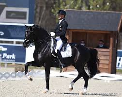 At this time he was looking for work, showing drawings of his engine design to motorcycle manufacturers. Gal And Next Generation Of Stallions Sweep 2021 Cdi Opglabbeek Grand Prix
