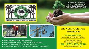 Profile for Ernst And Sons Tree Service