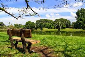 Taman tasik taiping ini terletak di bandar taiping. Taman Tasik Taiping Taman Awam Tertua Di Malaysia