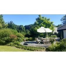 Image result for Nidorella umbrosa