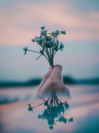 Check spelling or type a new query. Best 500 New Wallpaperss Hd Download Free Images On Unsplash