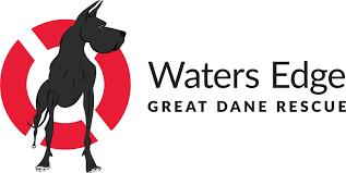 Maybe you would like to learn more about one of these? Waters Edge Great Dane Rescue Inc Home Facebook