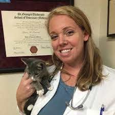 Schmar conducts a comprehensive pet exam to determine whether there are. Close To Home Veterinary Services Home Facebook
