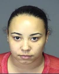 Secret Service joins HCSO in fraud investigation