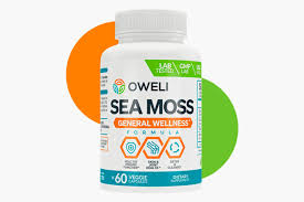 Best Sea Moss Pills (Top Brands) | Vashon-Maury Island Beachcomber