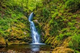 In close association with the countryside code, visit wales launched the 'addo' campaign earlier this year for a safe responsible return for visitors to wales, by asking our residents and our visitors to make their promise to wales so it is a safe place for everyone to visit as restrictions allow. Countryside Attractions In North Wales Snowdonia And Anglesey