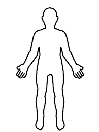 Resultado de imagen para cuerpo humano
