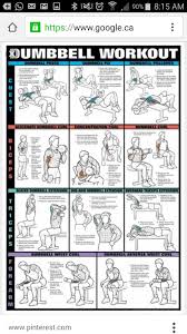 pin by mohammad mustafa on workout routines dumbbell