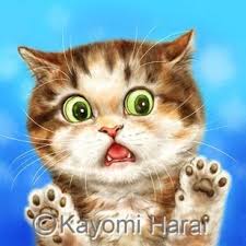 Pin By Okssem On Gatos Funny In 2020 Cute Cats Dog Cat Cats