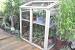 Mini Small Greenhouse