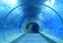 Acrylic Shark Tunnel Aquarium Uc Acrylic Technology Co Ltd