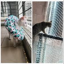 Kus Filesi Kedi Filesi Tarim Filesi Fiyatlari Ve Ozellikleri
