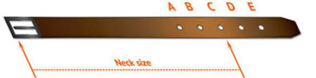 Besides good quality brands, you'll also find plenty of. How To Size Up The Right Dog Collar For Your Dog Pitbull Store Pitbull Muzzle Collar Pit Bull Supplies Gear Harness And Leash Advantageously