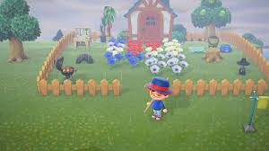 Set up a nice stage for them. A Beginner S Guide To Animal Crossing New Horizons Film Daily
