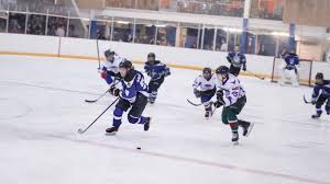 National hockey league american hockey league canadian hockey league. Ice Hockey Imperial College Union